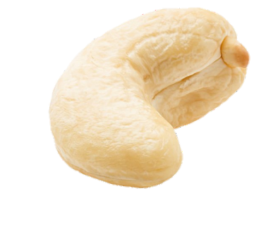 Cashew